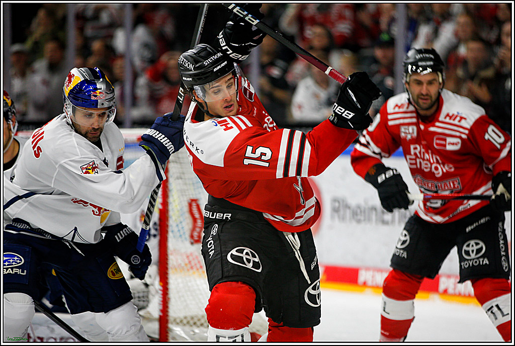 PENNY DEL; Koelner Haie- Red BUll Muenchen; Koeln, 08.11.2022